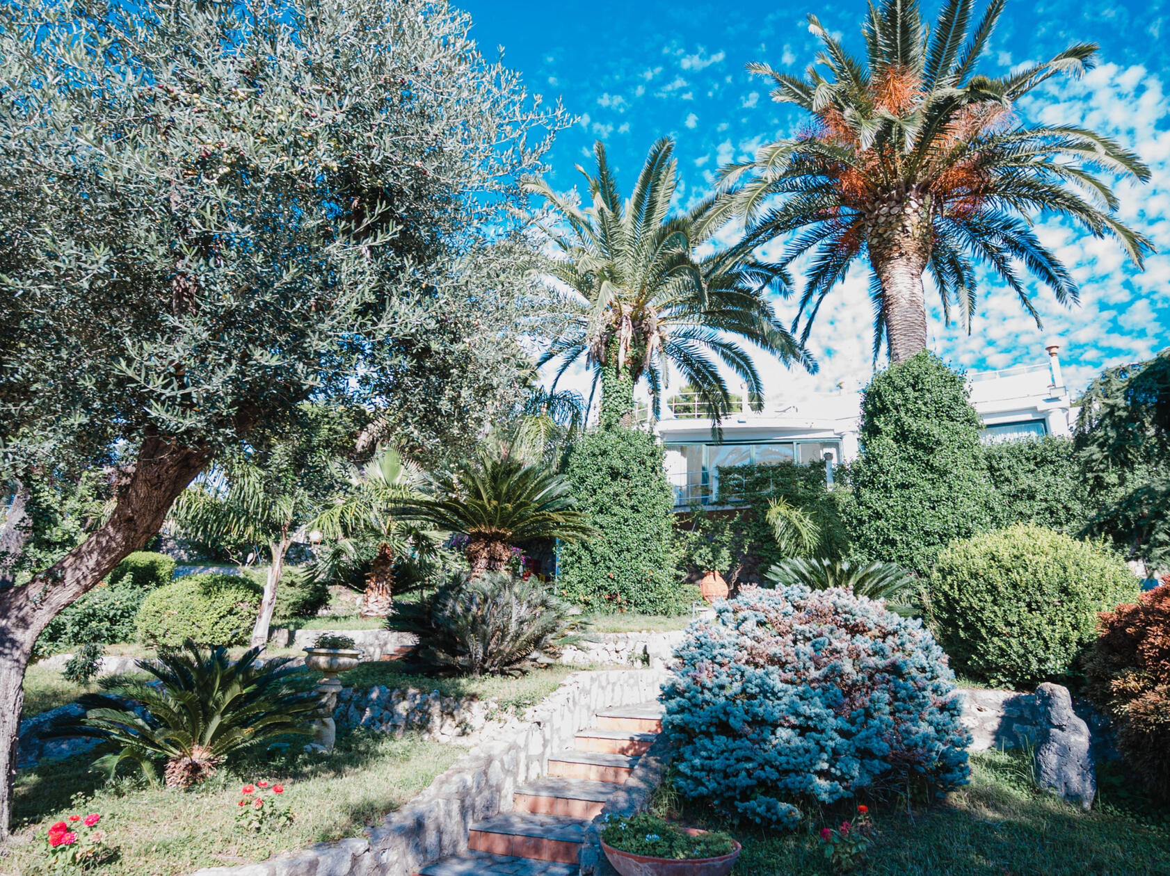 ingresso la canostra capri luxury villa